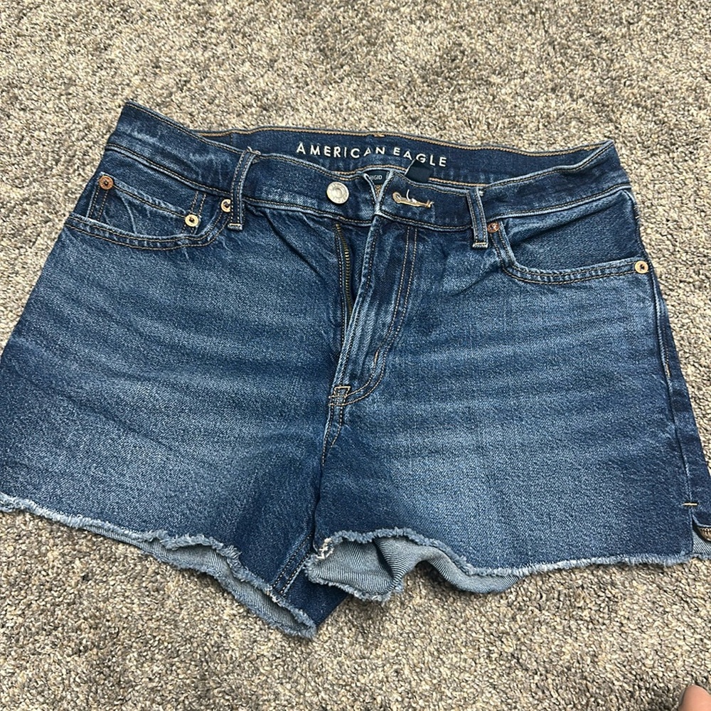 American Eagle Strigid Shorts